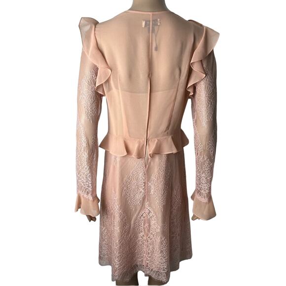 Delfi Collective X Anthropologie Luna Sheer Ruffle Lace Sheath Dress - Picture 4 of 13